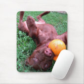 Schokolade Labrador Pit Puppy Playing mit Ball Mousepad (Mit Mouse)