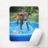 Schokolade Labrador Pit Puppy Playing Mousepad (Mit Mouse)