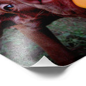 Schokolade Labrador Pit Puppy Tugging Ball Fotodruck (Ecke)