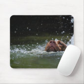 Schokolade Labrador Pit Welpe Schwimmen 2 Mousepad (Mit Mouse)