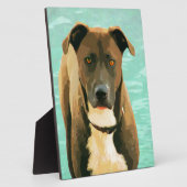 Schokolade Labrador Pitbull Mix Pitador Labrabull Fotoplatte (Seite)