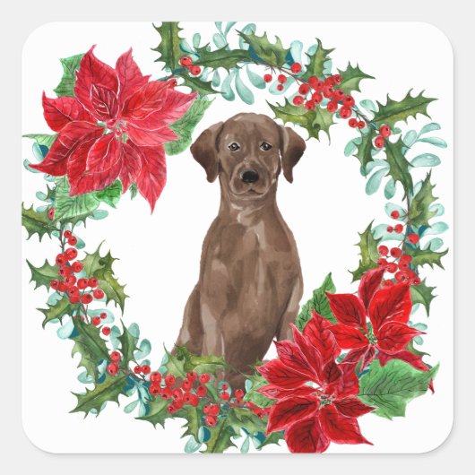 Schokolade Labrador Poinsettia Weihnachtskranz Quadratischer Aufkleber (Vorderseite)