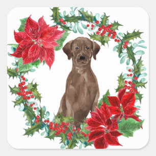 Schokolade Labrador Poinsettia Weihnachtskranz Quadratischer Aufkleber