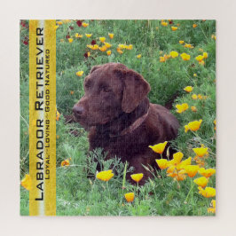Schokolade Labrador Portrait California Pupies Tem Puzzle