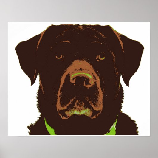 Schokolade Labrador Poster (Vorne)