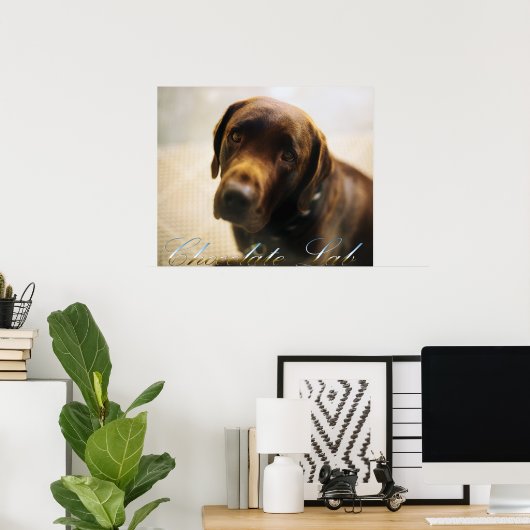 Schokolade Labrador Posters Poster (Heimbüro)