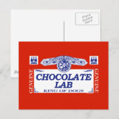 Schokolade Labrador Postkarte (Vorne/Hinten)