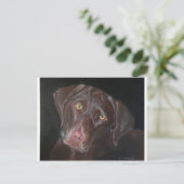Schokolade Labrador Postkarte (Stehend Vorderseite)
