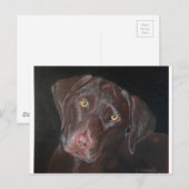 Schokolade Labrador Postkarte (Vorne/Hinten)
