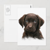 Schokolade Labrador Postkarte (Vorne/Hinten)