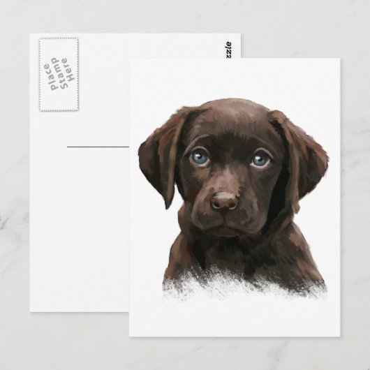 Schokolade Labrador Postkarte (Vorne/Hinten)