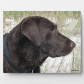 Schokolade-Labrador-Profil Plaque Fotoplatte (Vorderseite)
