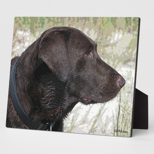 Schokolade-Labrador-Profil Plaque Fotoplatte (Seite)
