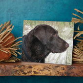 Schokolade-Labrador-Profil Plaque Fotoplatte (Seite)