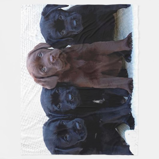 Schokolade Labrador - Puppen aus schwarzem Labrado Fleecedecke (Vorderseite)
