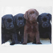 Schokolade Labrador - Puppen aus schwarzem Labrado Fleecedecke (Vorderseite (Horizontal))