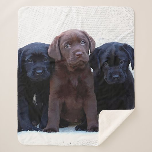 Schokolade Labrador - Puppen aus schwarzem Labrado Sherpadecke (Vorderseite)