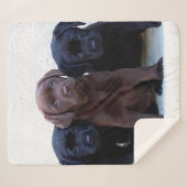Schokolade Labrador - Puppen aus schwarzem Labrado Sherpadecke (Vorderseite (Horizontal))