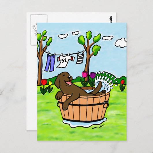 Schokolade Labrador Puppy Pool Postkarte (Vorne/Hinten)