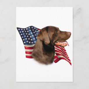 Schokolade Labrador Retriever American Flag Postkarte