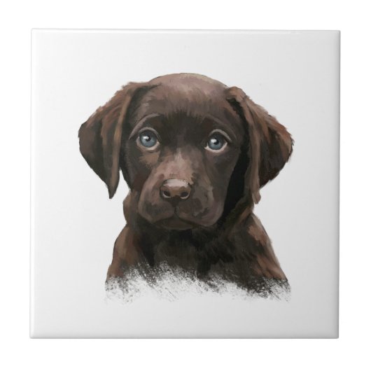Schokolade Labrador Retriever Brown Fliese (Vorderseite)