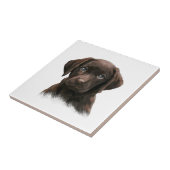 Schokolade Labrador Retriever Brown Fliese (Seite)