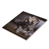 Schokolade Labrador retriever Fliese (Seite)