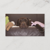 Schokolade Labrador Retriever Foto Visitenkarte (Vorderseite)