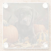 Schokolade Labrador Retriever Herbst Glasuntersetzer (Rückseite)