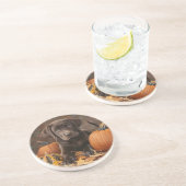 Schokolade Labrador Retriever Herbstlicher Unterse Getränkeuntersetzer (Seite)