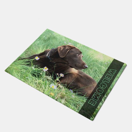 Schokolade Labrador Retriever Hund in Gras-Blume Fußmatte (Schrägansicht)