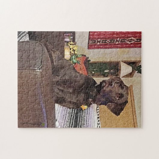 Schokolade Labrador Retriever im Stuhl Puzzle (Horizontal)