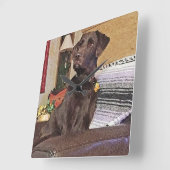 Schokolade Labrador Retriever im Stuhl Quadratische Wanduhr (Winkel)