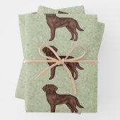Schokolade Labrador Retriever Labrador Hundeschema Geschenkpapier Set (Beispiel)