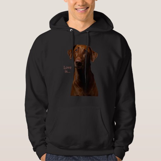 Schokolade Labrador Retriever Labrador T-Shirt Hun Hoodie (Vorderseite)