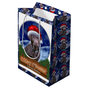 Schokolade Labrador Retriever Mittlere Geschenktüte