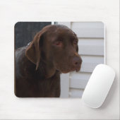 Schokolade Labrador retriever Mousepad (Mit Mouse)