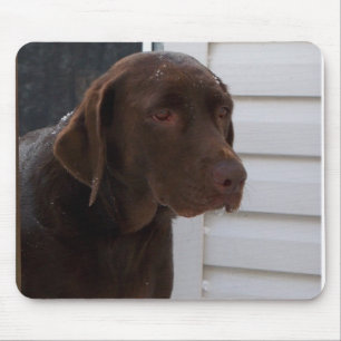 Schokolade Labrador retriever Mousepad