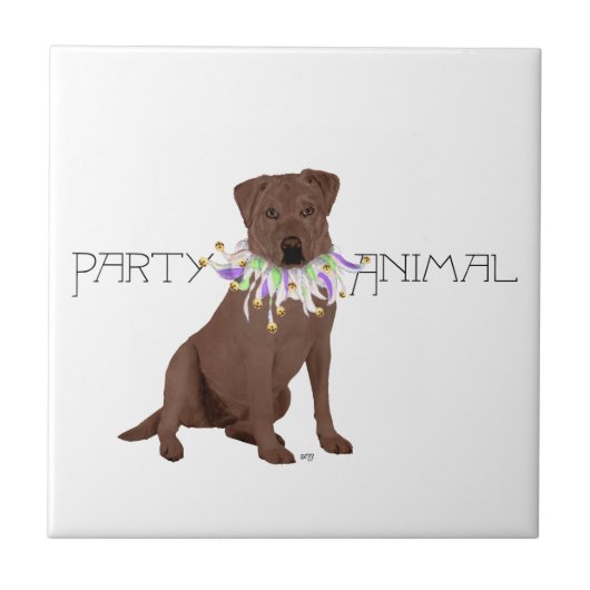 Schokolade Labrador Retriever Party Fliese (Vorderseite)