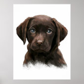 Schokolade Labrador Retriever Poster (Vorne)
