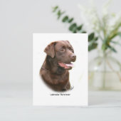 Schokolade Labrador Retriever Postkarte (Stehend Vorderseite)