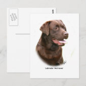 Schokolade Labrador Retriever Postkarte (Vorne/Hinten)