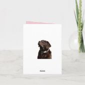 Schokolade Labrador Retriever Puppy Hund Note Card Karte (Rückseite)