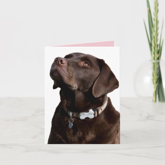 Schokolade Labrador Retriever Puppy Hund Note Card Karte (Vorderseite)