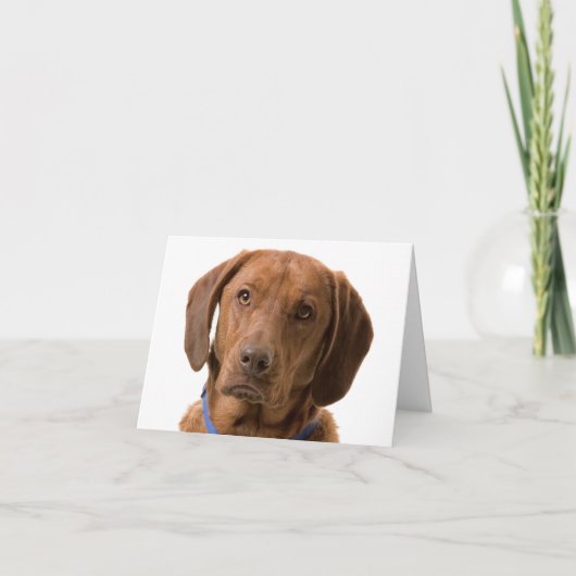 Schokolade Labrador Retriever Puppy Hund Note Card Karte (Vorderseite)