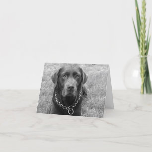 Schokolade Labrador Retriever Puppy Hund Note Card Karte