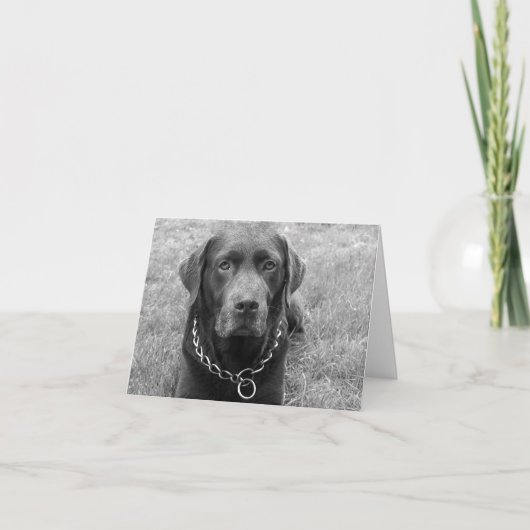 Schokolade Labrador Retriever Puppy Hund Note Card Karte (Vorderseite)