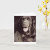 Schokolade Labrador Retriever Puppy Hund Note Card Karte (Gelbe Blume)