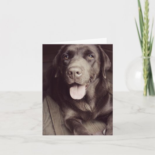 Schokolade Labrador Retriever Puppy Hund Note Card Karte (Vorderseite)