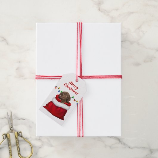 Schokolade Labrador Retriever Puppy in Santa Bag Geschenkanhänger (Mit Garn)